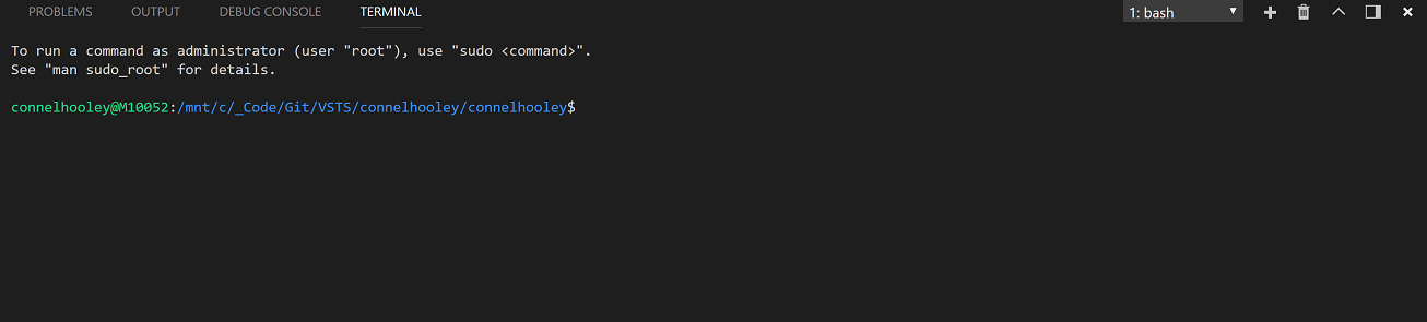 Screenshot of Visual Studio Code's integrated shell using Bash